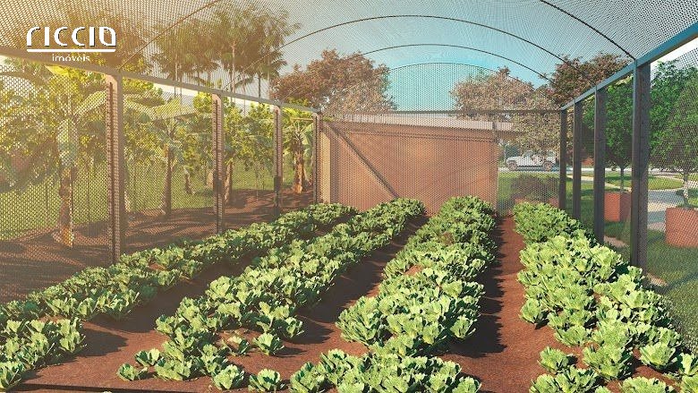 Terreno à venda no Jardim Portugal — imagem 20 de 23