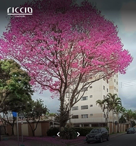 Edifício Araruama Jardim das Industrias — imagem 5 de 6
