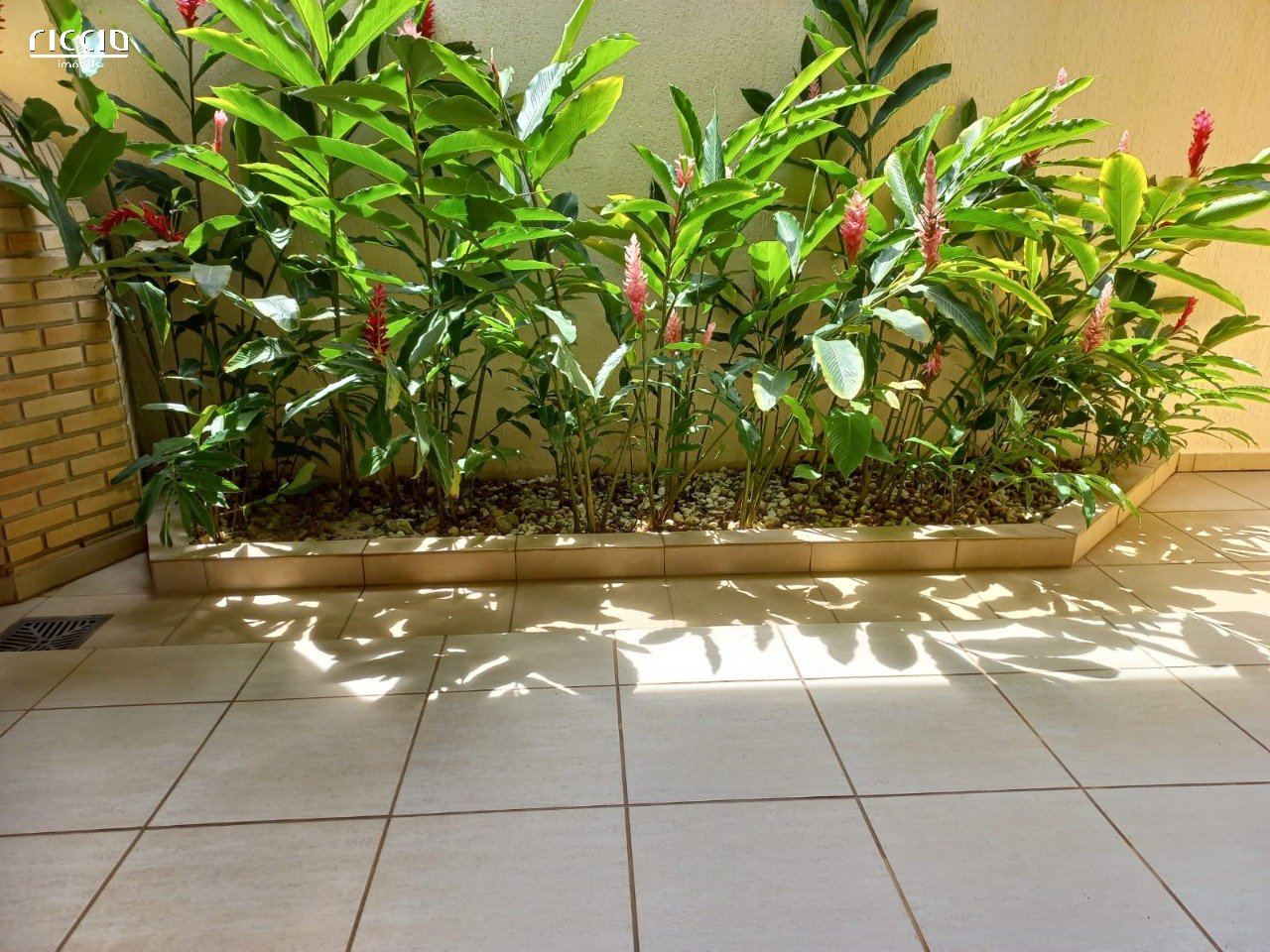 Casa à venda no Massaguaçu — imagem 30 de 31