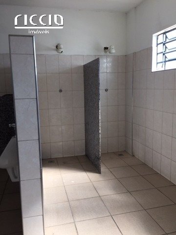 Galpao à venda no Vila  Rica — imagem 12 de 15