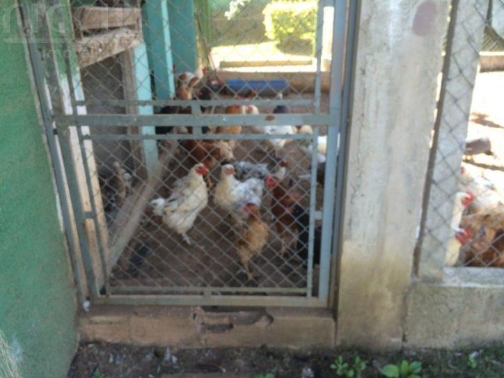 Casa em Condomínio à venda no Chácaras Cataguá — imagem 9 de 54