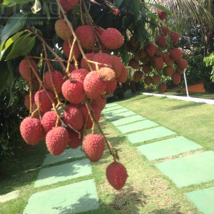 Casa em Condomínio à venda no Chácaras Cataguá — imagem 49 de 54