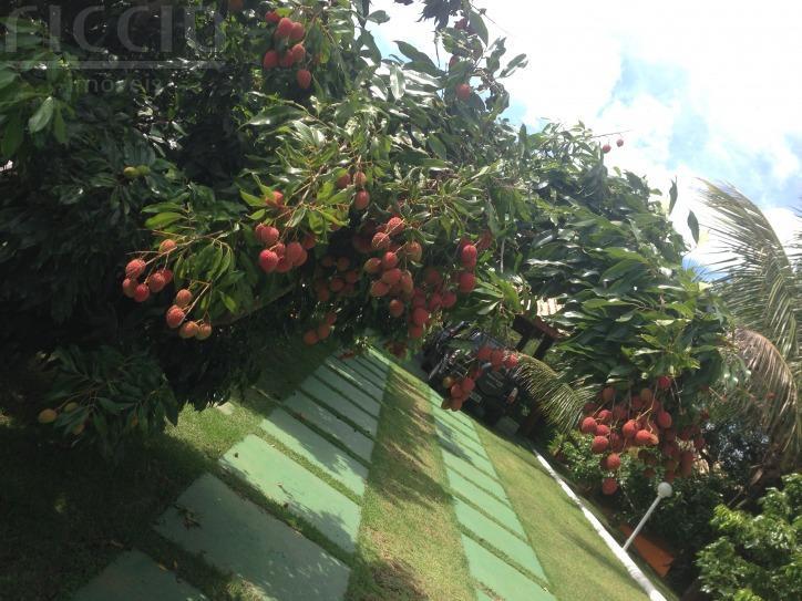 Casa em Condomínio à venda no Chácaras Cataguá — imagem 50 de 54