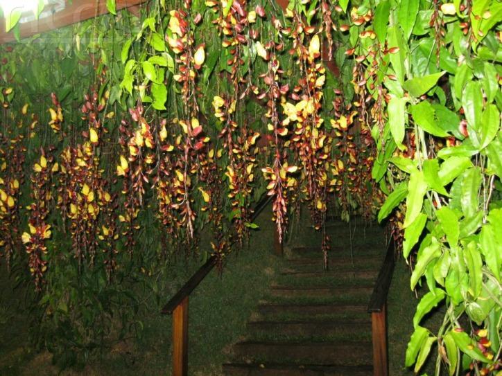 Casa em Condomínio à venda no Chácaras Cataguá — imagem 28 de 54