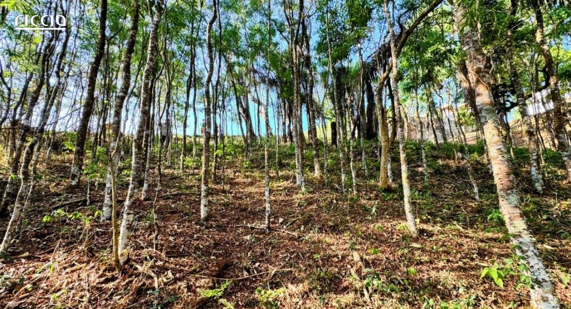 Terreno à venda no Canaã — imagem 13 de 13