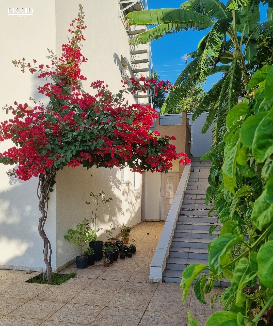 Casa em Condomínio à venda no Mirante do Vale — imagem 10 de 20