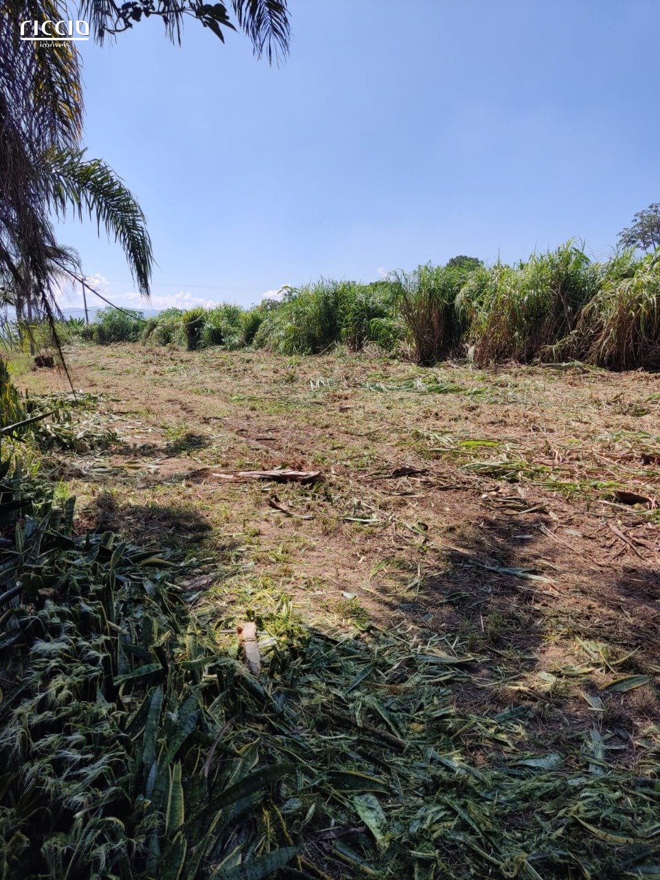 Terreno à venda no Eugenio de Melo — detalhe do imóvel