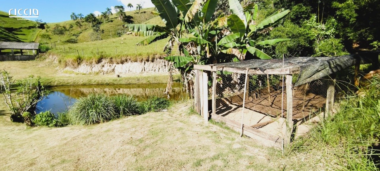 Sitio à venda no Bairro dos Ferreirinha — imagem 22 de 38