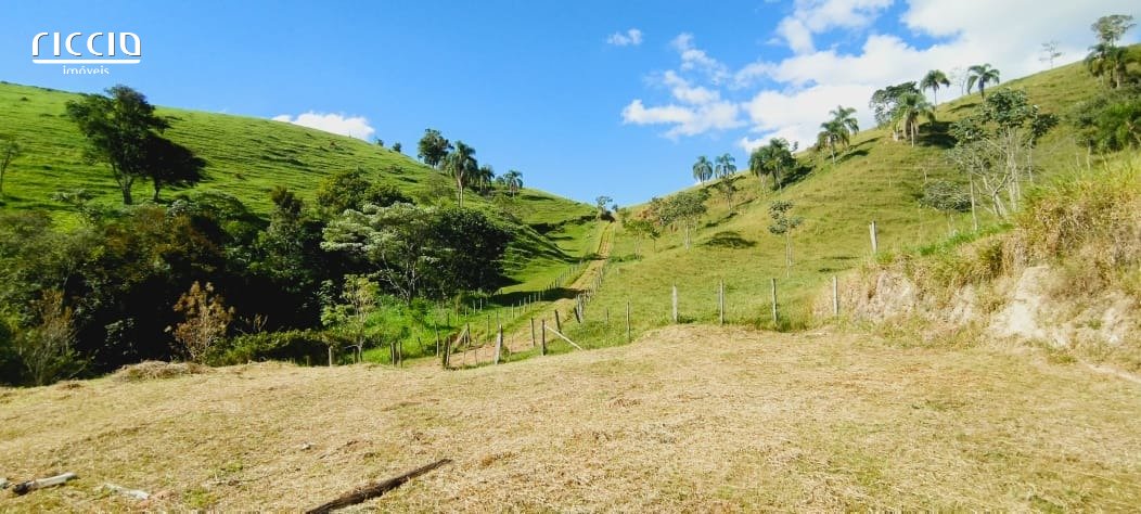 Sitio à venda no Bairro dos Ferreirinha — imagem 25 de 38