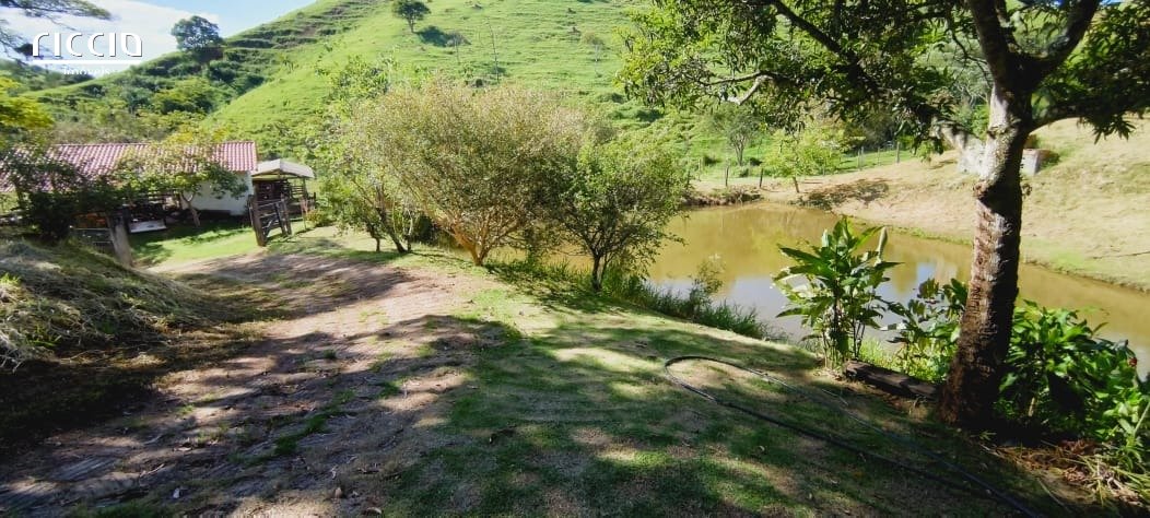 Sitio à venda no Bairro dos Ferreirinha — imagem 18 de 38