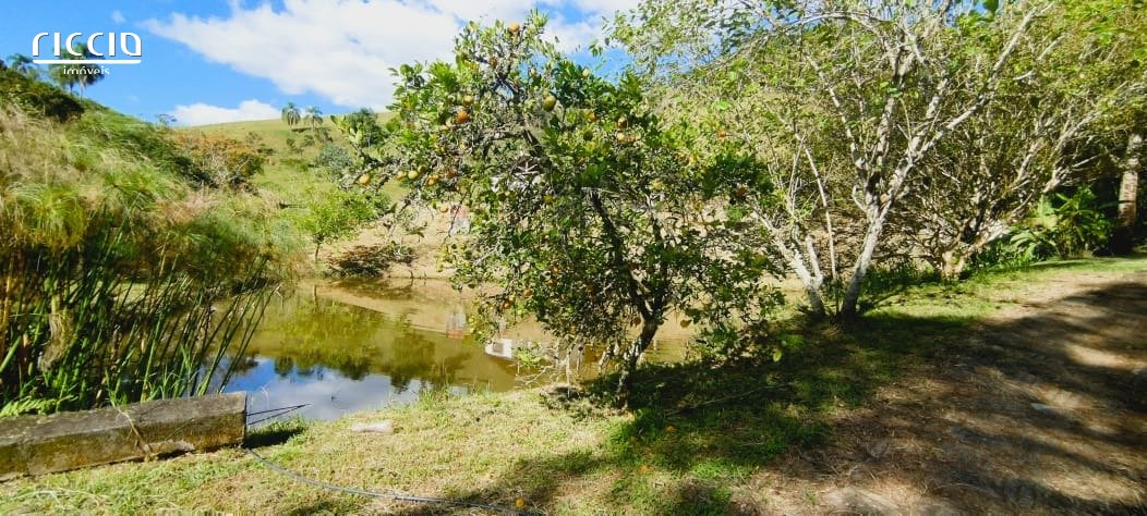 Sitio à venda no Bairro dos Ferreirinha — imagem 28 de 38