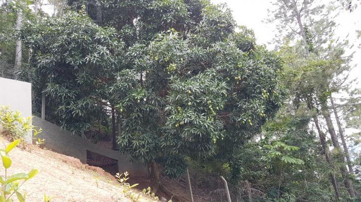 Casa à venda no São Francisco da Praia — imagem 121 de 151