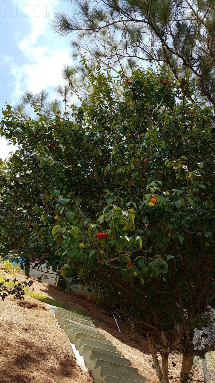Casa à venda no São Francisco da Praia — imagem 15 de 151