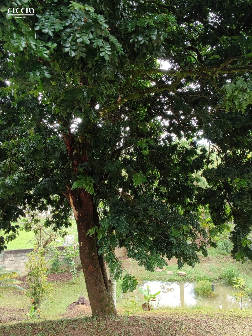Chacara à venda no Chácara Taquari — imagem 6 de 22