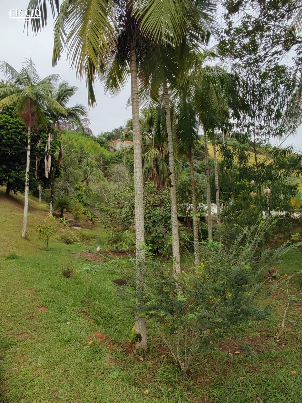 Chacara à venda no Chácara Taquari — imagem 7 de 22