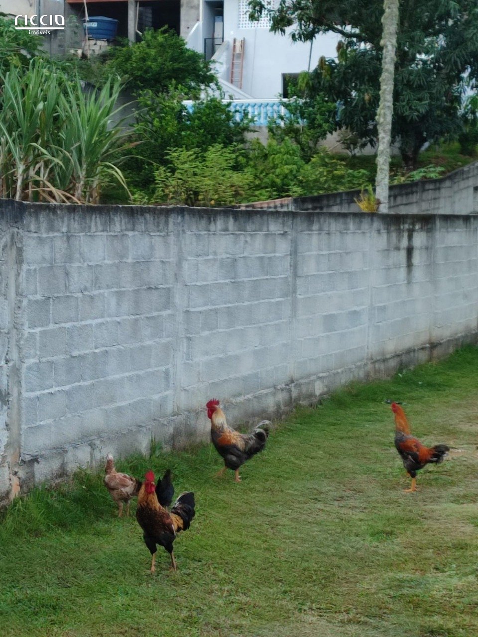 Chacara à venda no Chácara Taquari — imagem 20 de 22