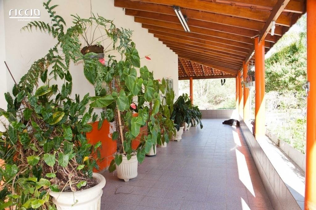 Sitio à venda no bairro dos souzas — imagem 14 de 23
