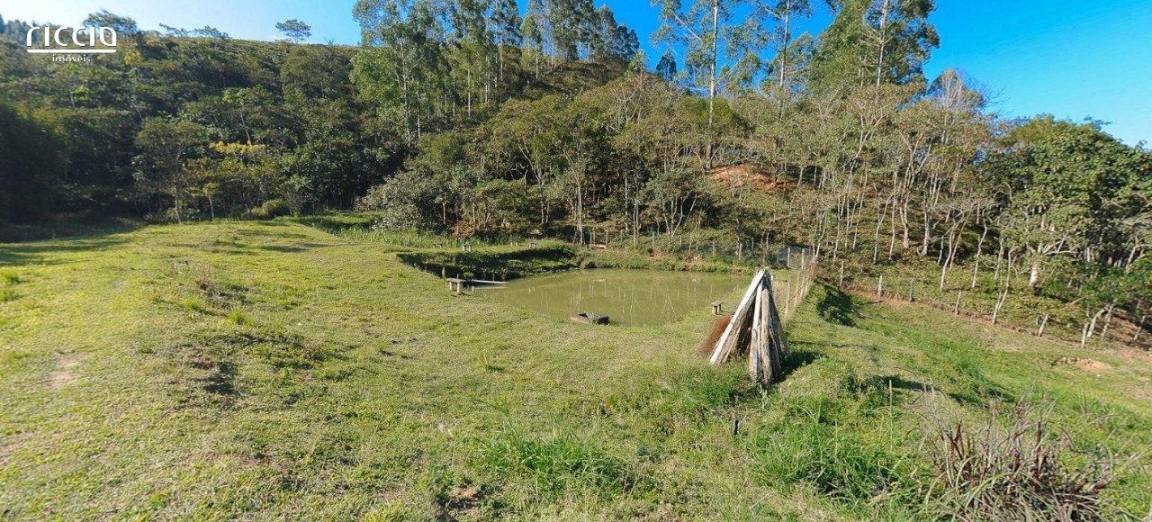 Sitio à venda no bairro dos souzas — imagem 8 de 23