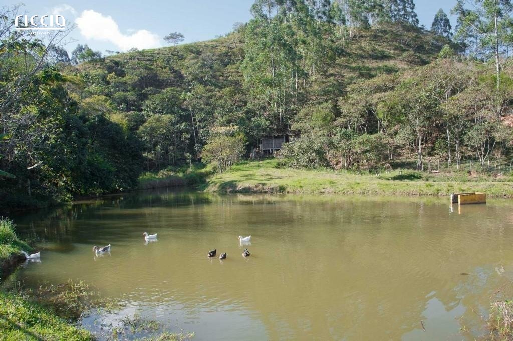 Sitio à venda no bairro dos souzas — imagem 17 de 23