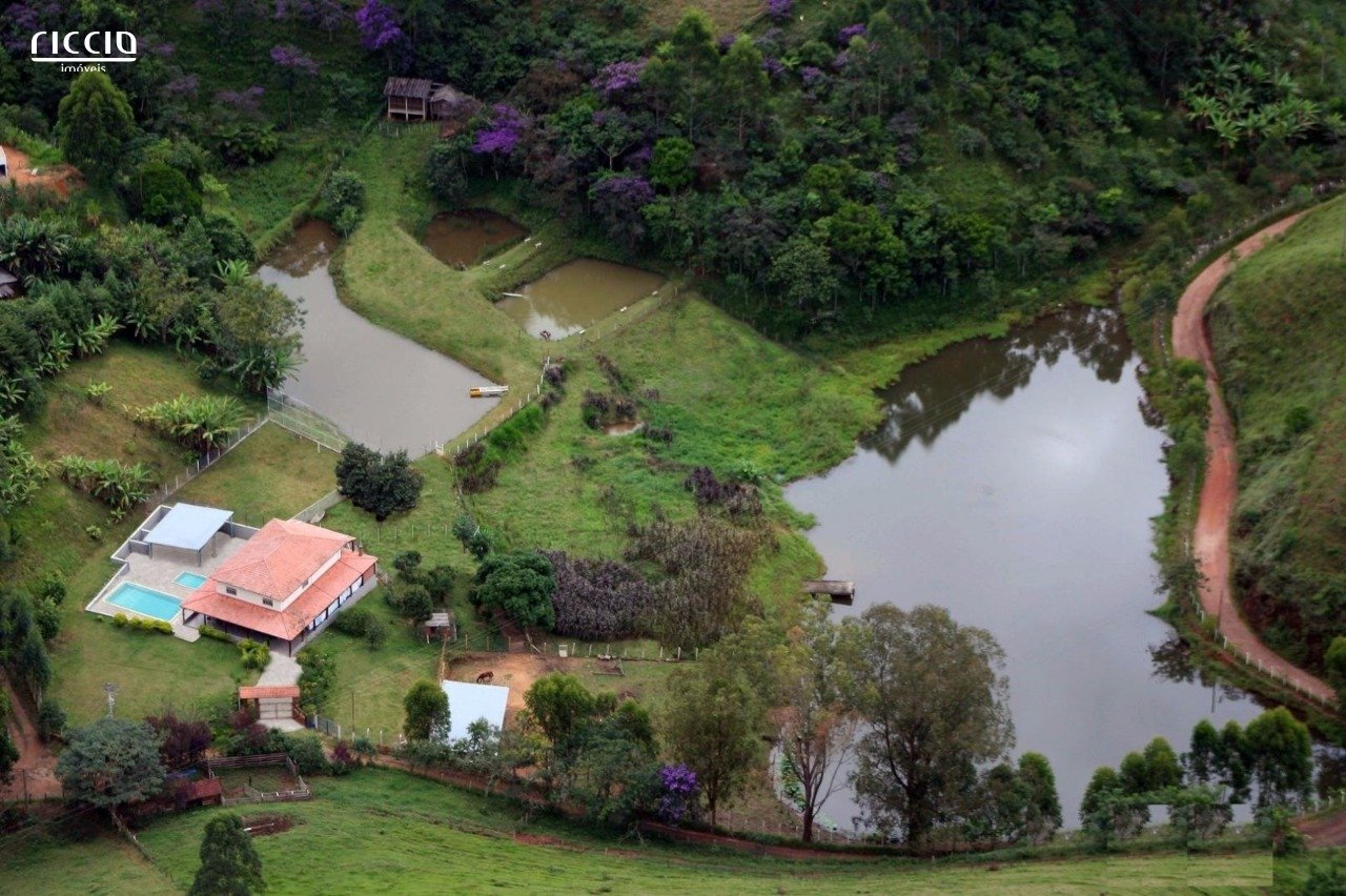 Sitio à venda no bairro dos souzas — imagem 13 de 23