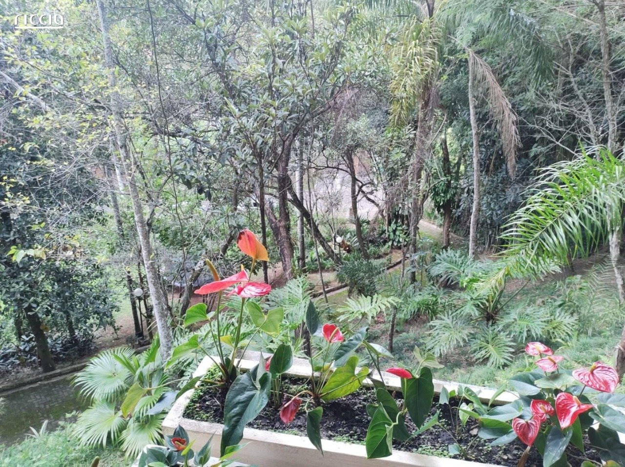 Casa em Condomínio à venda no Bosque dos Eucaliptos — imagem 24 de 32
