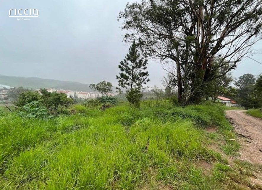 Terreno à venda no Jardim Torrão de Ouro — imagem 6 de 12