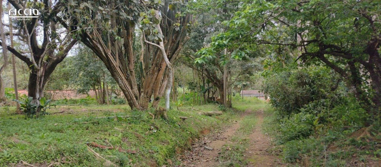 Chacara à venda no Pindorama — imagem 6 de 6