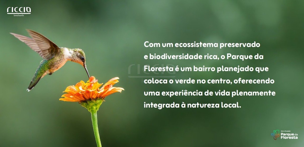 Terreno à venda no Bairro da Floresta — imagem 6 de 22