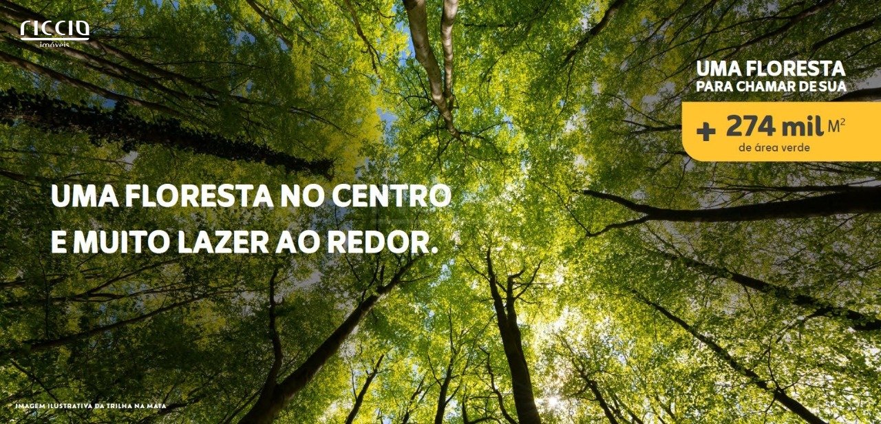 Terreno à venda no Bairro da Floresta — imagem 5 de 22