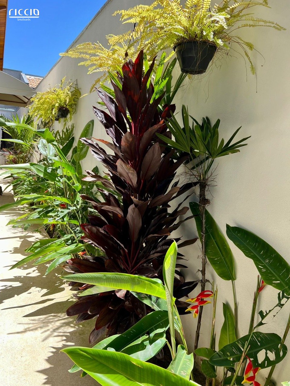 Casa à venda no Villa Branca — imagem 25 de 27