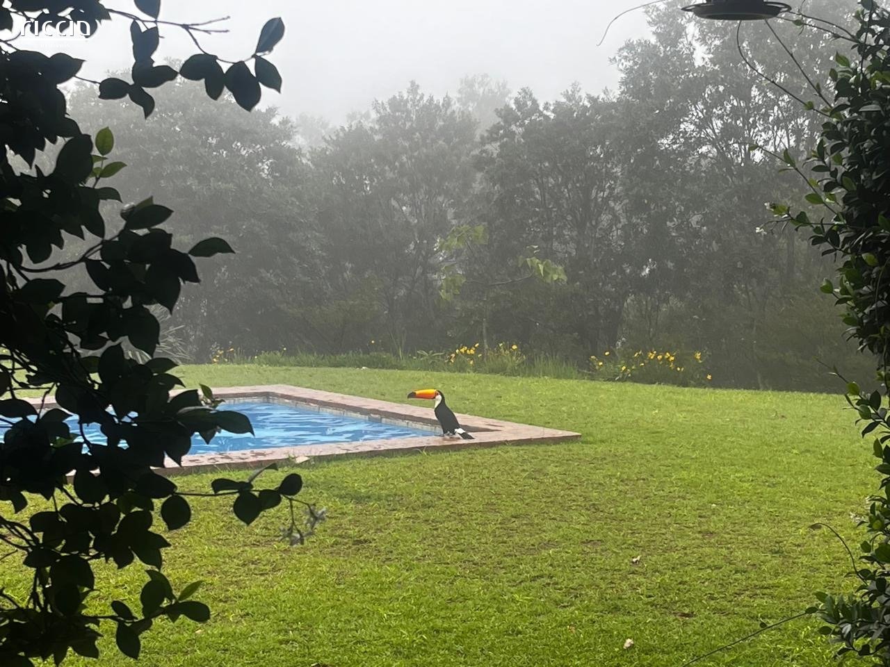 Sitio à venda no Moinho — imagem 9 de 25