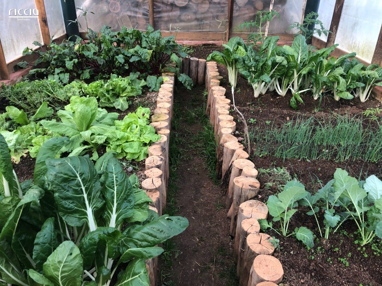 Sitio à venda no Moinho — imagem 13 de 25