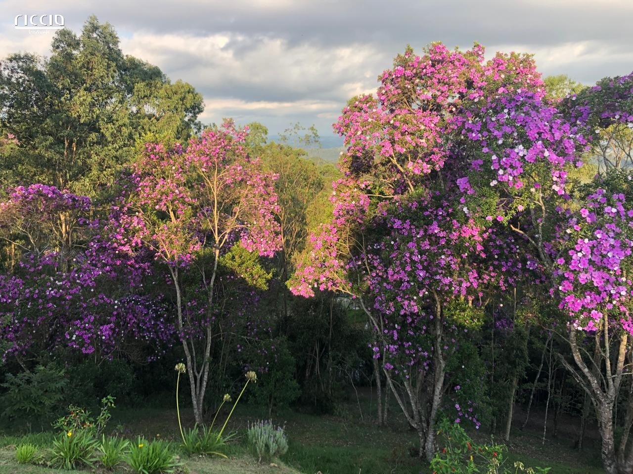 Sitio à venda no Moinho — imagem 14 de 25
