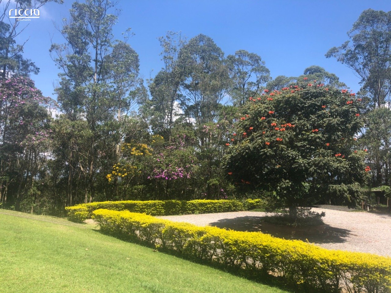 Sitio à venda no Moinho — imagem 18 de 25