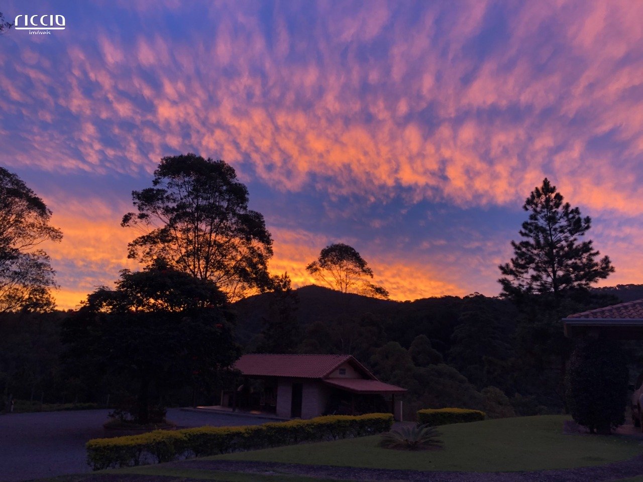 Sitio à venda no Moinho — imagem 15 de 25