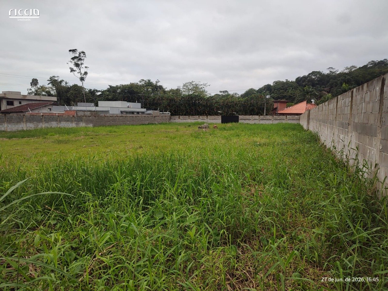 Terreno à venda no Massaguaçu — imagem 6 de 7