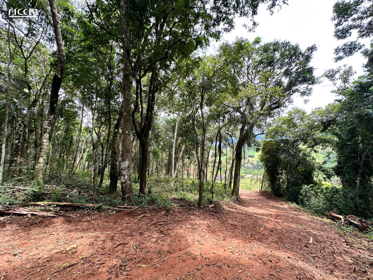 Chacara à venda no São Benedito — ambiente interno