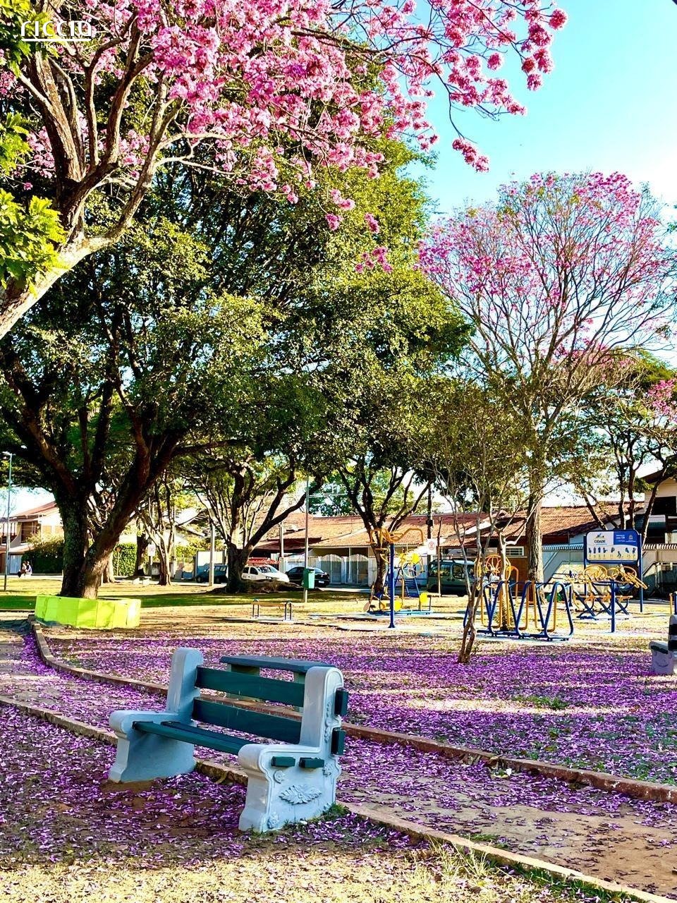 Apartamento à venda no Jardim Estoril — imagem 10 de 14