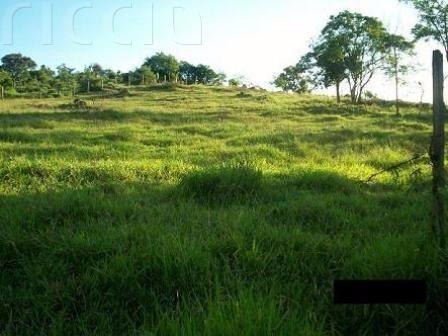 Terreno à venda no Jardim Maria Amélia — imagem 4 de 7