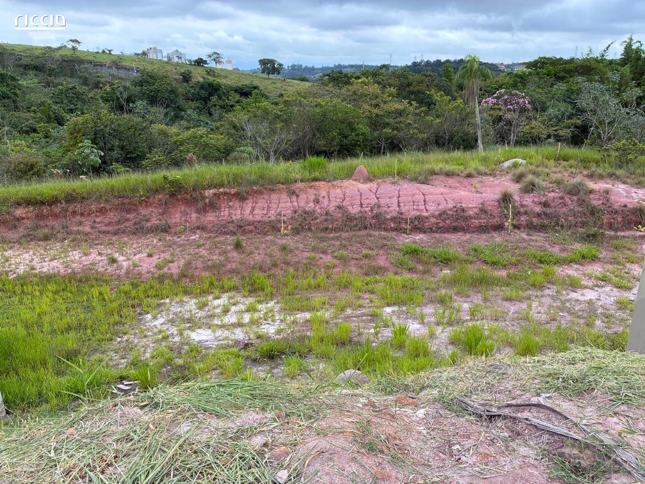 Terreno à venda no Bairro da Floresta — ambiente interno