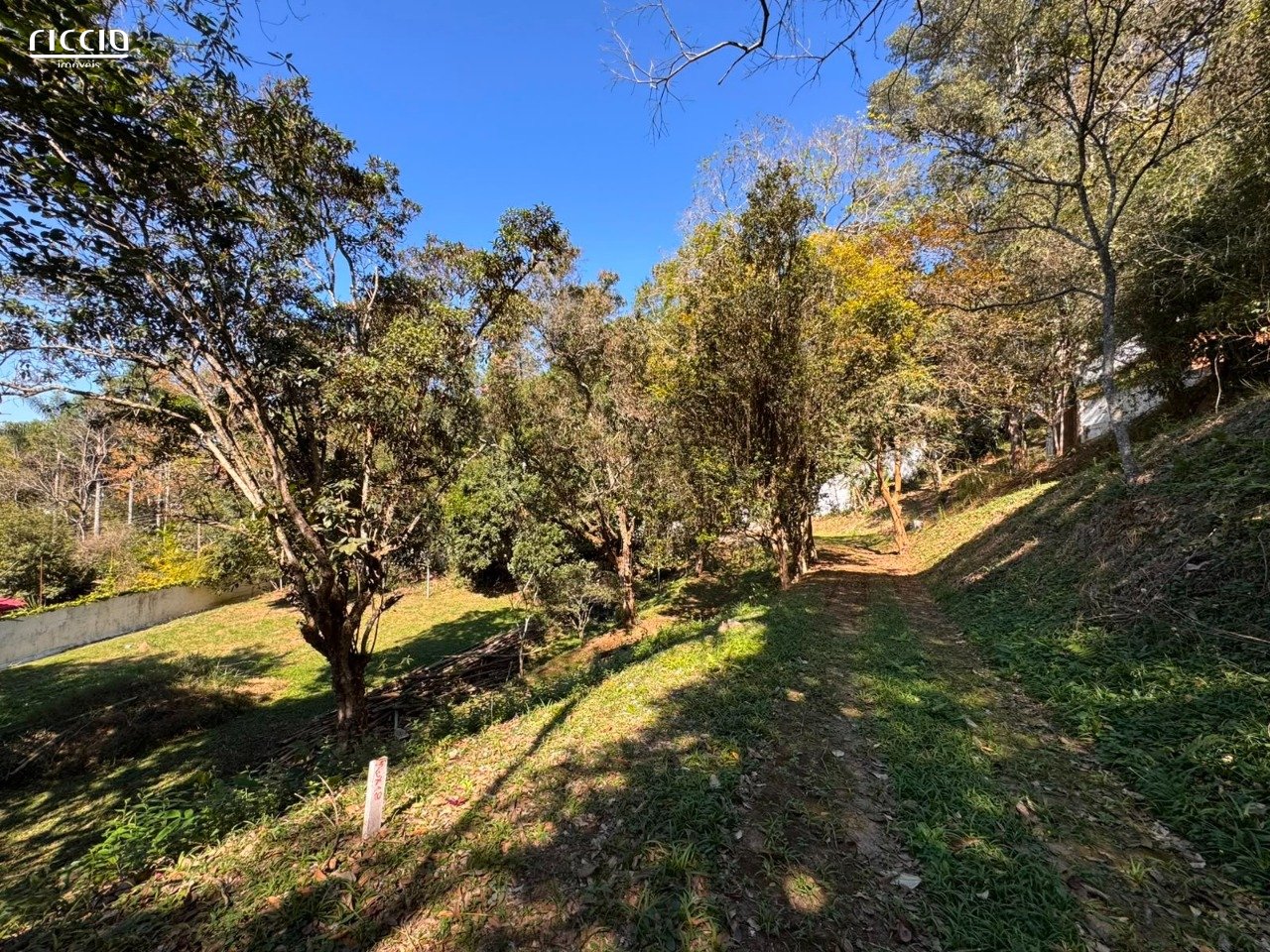 Terreno à venda no Jardim Satélite — imagem 9 de 12