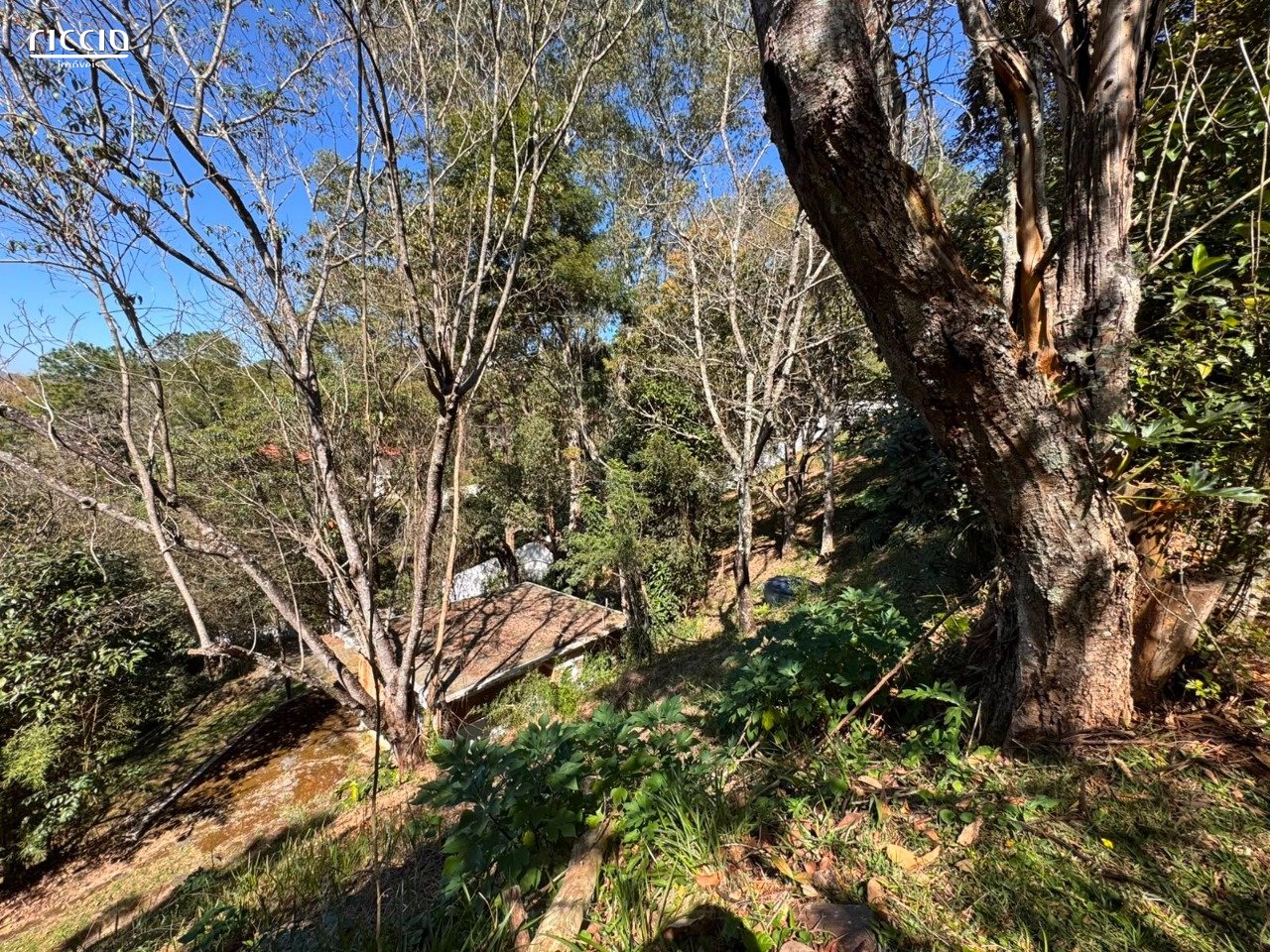 Terreno à venda no Jardim Satélite — imagem 4 de 12