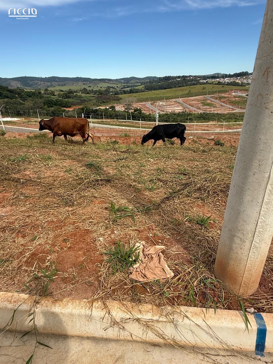 Terreno à venda no Santa Hermínia — imagem 5 de 6