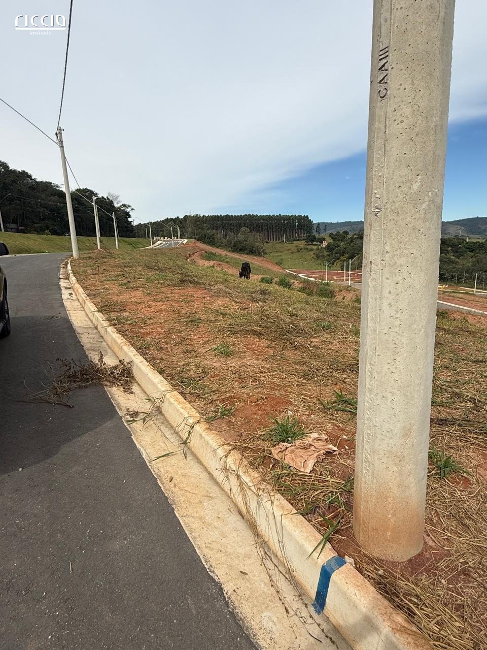 Terreno à venda no Santa Hermínia — imagem 6 de 6