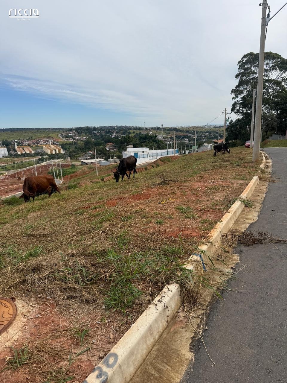 Terreno à venda no Santa Hermínia — imagem 4 de 6