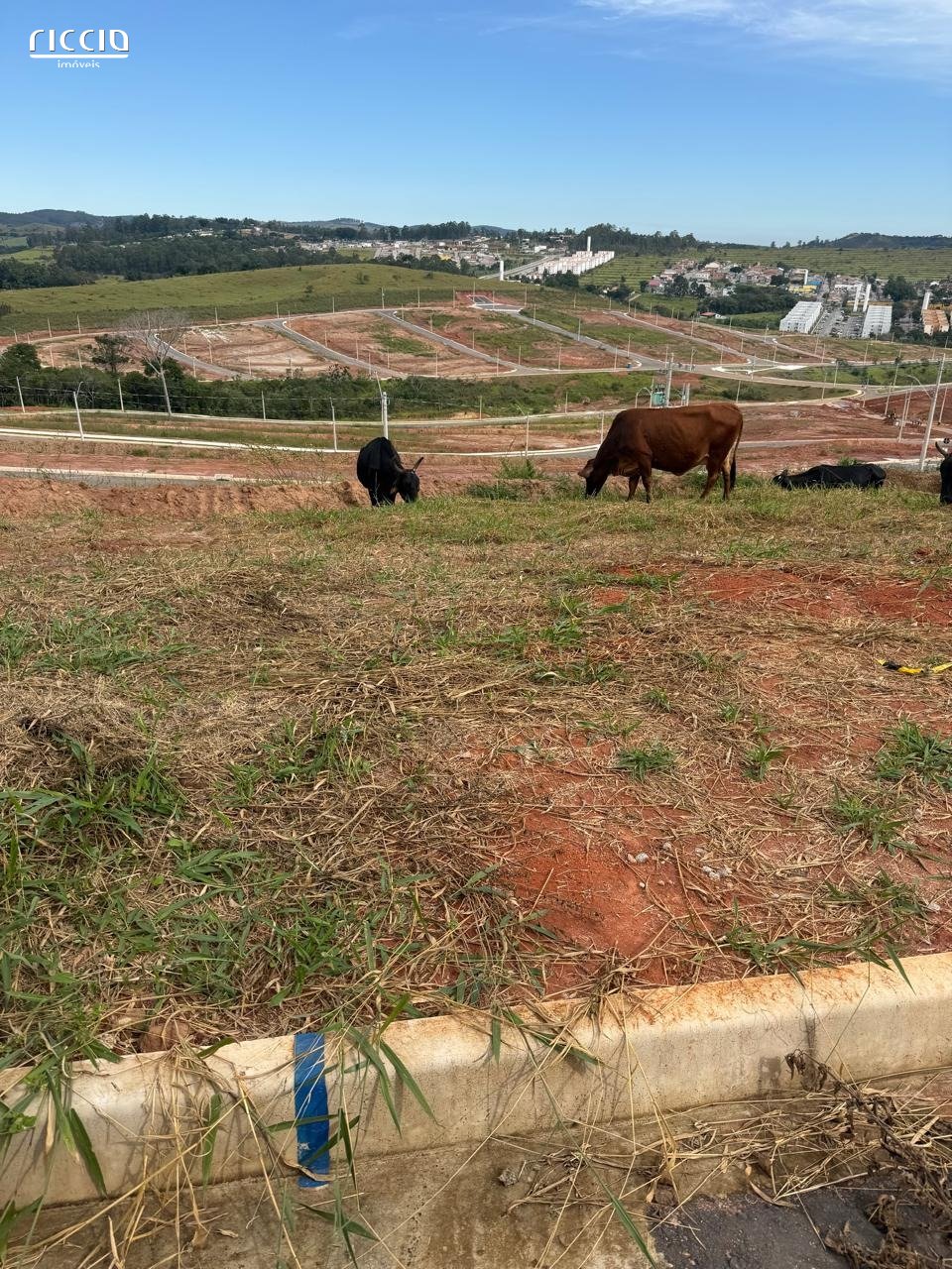 Terreno à venda no Santa Hermínia — detalhe do imóvel