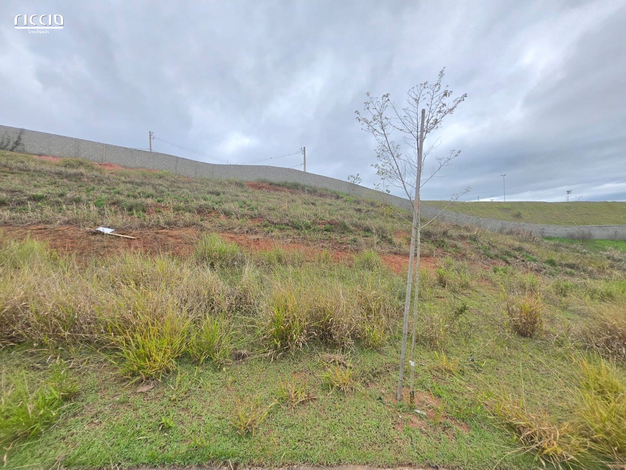 Terreno em Aclive à Venda no Condomínio Mirante Cambuí - Recanto dos Eucaliptos - 374,42m²