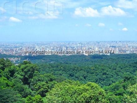 Terreno à venda no Areão — imagem 6 de 16