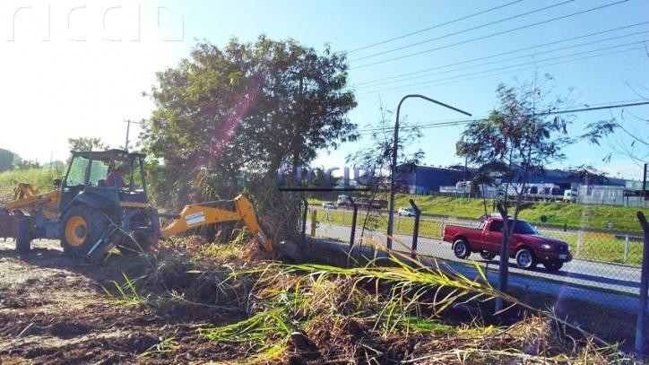 Terreno à venda no Jardim Das Flores — imagem 12 de 12