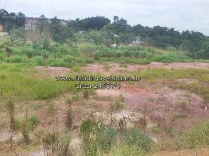 Terreno à venda no Jardim Americano — imagem 7 de 13